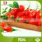 fresh goji berry/wolfberry jam from China/fruit jam /native products