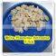 China supplier pleurotus ostreatus