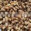 Wholesale IQF frozen morel mushroom, price of frozen morel