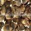 Chinese Black Truffle price