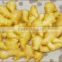 High Quality & Competitive Price & Best Taste of China Fresh Ginger