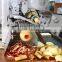 Industrial Apple Peeling and Coring Machine, Apple Pitter