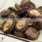 Natural Dry Shiitake Mushroom Bulk Dried Oyster Mushroom