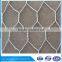 Galvanized Hexagonal mesh Aviary Netting