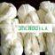 velvet chenille yarn