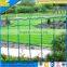 Welded euro fence wire mesh roll for park and garden