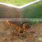 bayer polycarbonate garden used greenhouses for saleHX65128G-1
