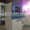 Bluestone Vacuum Drying Oven For Laboratory