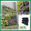 Green Wall Flower Pots