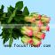 Long lasting hobby lobby wholesale flowers fresh cut jasmine flowers hopeshow for home from china