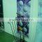 Acrylic with wood Mini Bunk Bed Hold Up 20 Golf Clubs Display