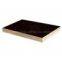 Film Faced Plywood with Logoes