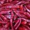 Dried Red Chilli