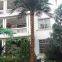 new natural design high artificial palm tree with true palm tree bark