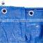  China Blue PE Plastic Tarp