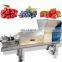 Industrial Double Screw Vegetable Juicer Hemp Juice Squeezer