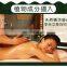 Mugwort moxa essential oil for body massage with best price from China