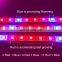 DC12V LED Plant Grow Light Full Spectrum LED Strip Light SMD 5050 Chip For Greenhouse Hydroponic Plant