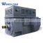 high voltage electric motor