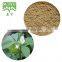 Fenugreek Seeds extract Powder Trigonelline 2%-10%