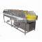 Olive apple Citrus Fruit Washing Machine price