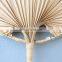 Woven Cheap in Bulk Palm Leaf Fan Wall Art Unique Woven Wall Decoration Best Price Wholesale