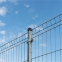 Curvy welded wire fence supplier PE Coated and PVC coated welded Wire fencing Curvy Welded Wire Mesh Fence/BOLI WIRE MESH QUALITY WELDED WIRE FENCING