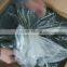 Seaweed Ulva Lactuca for Food