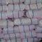 Transparent Poly Coated Tarpaulin Sheet for Agriculture and Cherry Tree Cover