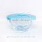 China product heat resistant clear glass bowl /glass lid chafing dish