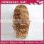 Hot sale cheap price real human hair hand tied full lace human hair wigs