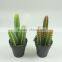 Artificial cactus bonsai in small size for indoor decoration