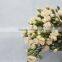 Most popular best selling new product flower fresh carnation