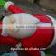PVC INFLATABLE BALLOON