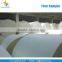 Wood Free Jumbo Offset Printing Paper cup Paper in Roll