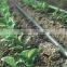 High Quality PE pipe for watering and irrigation