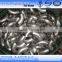 304 316l stainless steel elbow