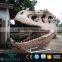 OAV3160 Zigong Dino Museum Fossils Dinosaur