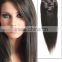 Wholesale Discount 100% human remy Cheap indian hair clip in extensions