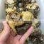 High Quality Natural Septarium Turtle Rock Heart Cordiform Stone For Sale