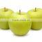 We are supply fresh Golden delicious with best prices for sale