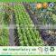 UV protect weed control pp spunbond non woven fabric