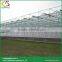 Venlo roof type glass greenhouse greenhouse glass windows