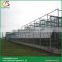 Sawtooth type hydroponic greenhouse cheap glass greenhouses