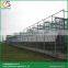 Sawtooth type polytunnel greenhouse glass for greenhouses glazing