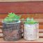 Popular in Amarican Garden Decoration Metal Bark Flower Pot for 2016 outdoor Small Size Metal Bark Flower Pot