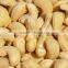 Organic Cashew Nuts