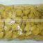 Frozen Jackfruit 450 Grams Thai Ao Chi Brand From Thailand Certified HACCP, ISO 22000 , GMP, HALAL and KOSHER