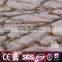 2015 New Design Hotel And Home Axminster Carpet