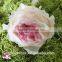 wholesale preserved roses preserved flowers dried flowers Austin rose